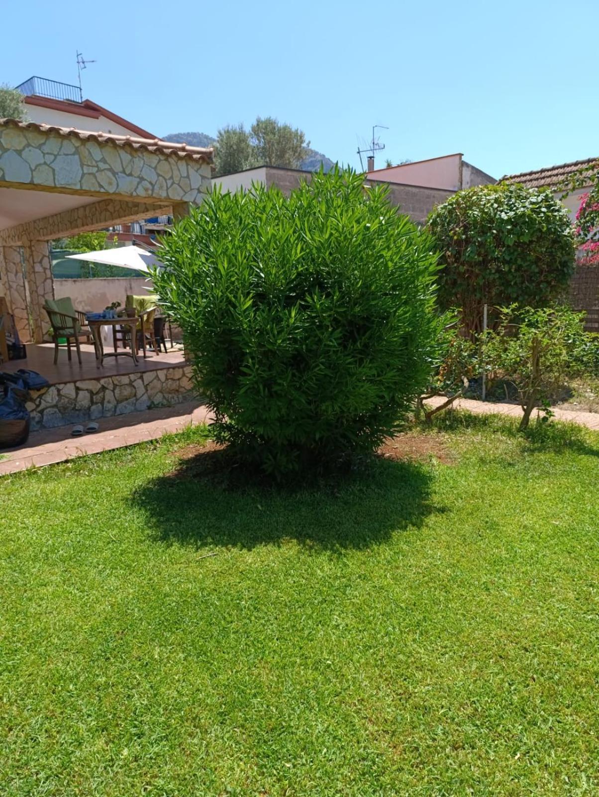 Garden House Mondello Palermo Exterior foto